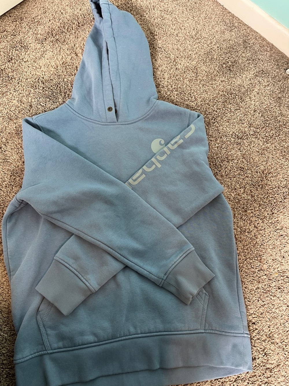 Carhartt Light Blue Pullover Hooded Sweatshirt